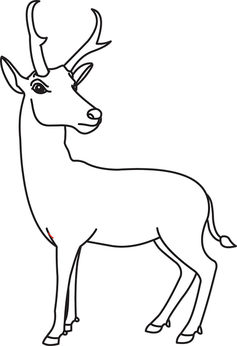 antelope-black-white-outline-clipart.jpg