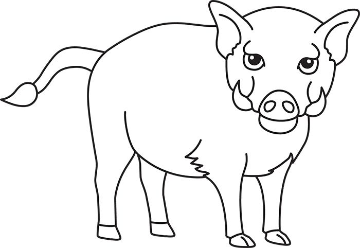 Animals Black and White Outline Clipart - babirusa-wild-boar-blacl-white-outline-cliprt  - Classroom Clipart