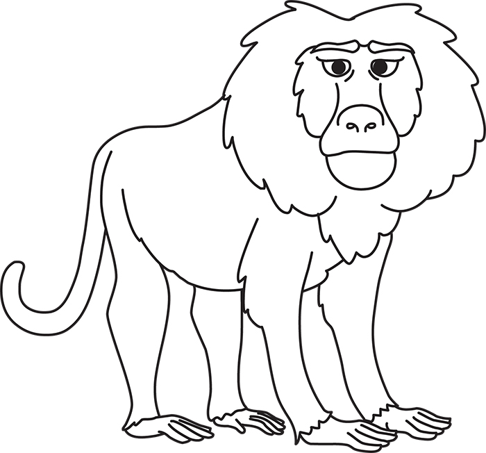 baboon-animal-black-white-outline-clipart.jpg