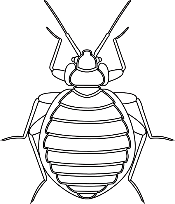 bed-bug-insect-black-white-outline-clipart-818.jpg