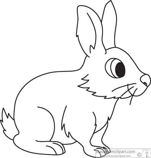 big-eyed-rabbit-black-white-outline-clipart-914.jpg