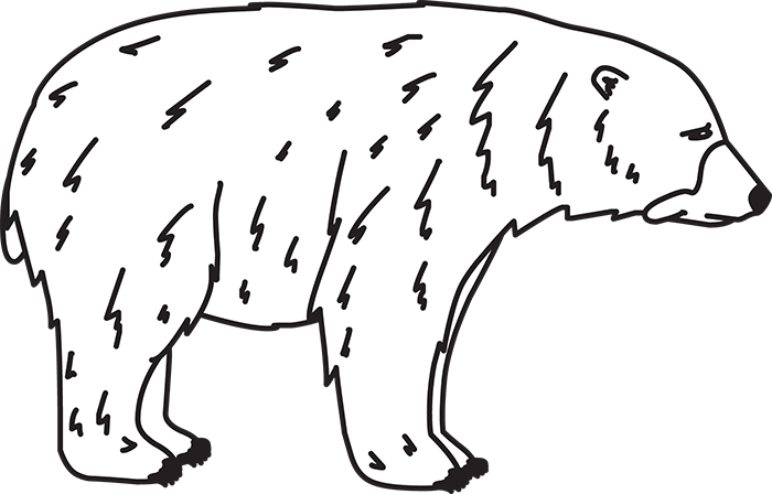 black-bear-outline-cliprt.jpg