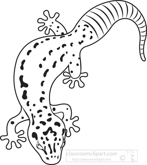 black-outline-gecko-lizard-reptile-educational-clip-art-graphic.jpg