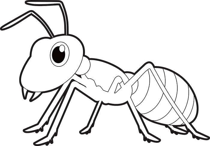 Animals Black and White Outline Clipart - black-white-outline-clipart- cartoon-style-insect-ant - Classroom Clipart
