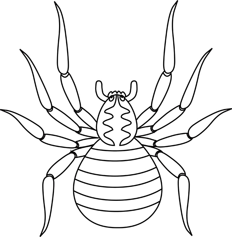 black-white-outline-clipart-of-brown-spider-718.jpg