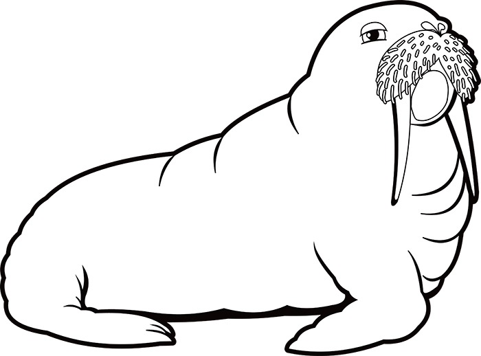 black-white-outline-clipart-of-walrus-with-tusk-whiskers.jpg