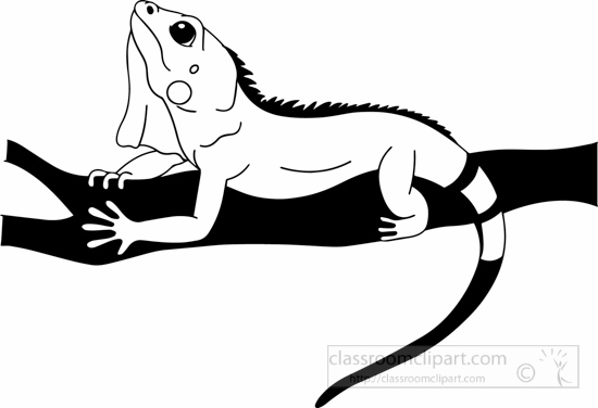 clipart lizard black and white