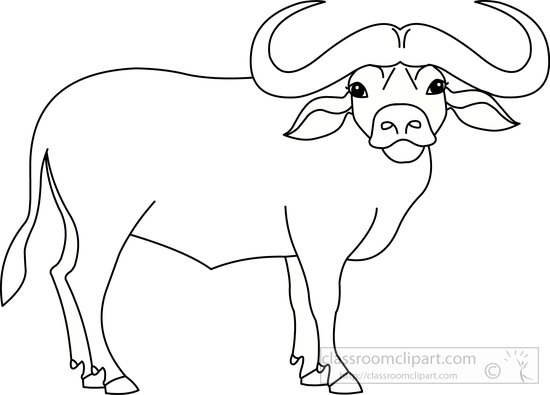 buffalo-black-white-outline-clipart-72088.jpg