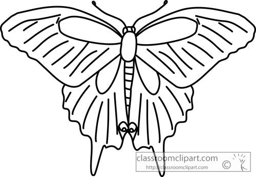 butterfly_black_swallowtail_outline_clipart.jpg