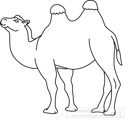 camel_31412_01_outline.jpg