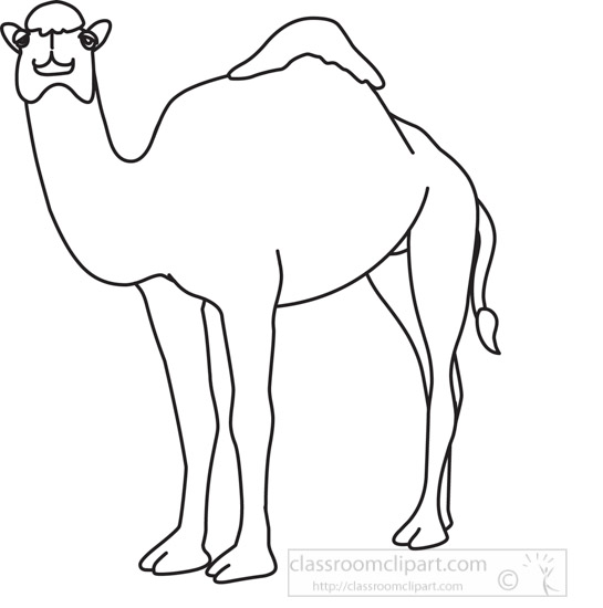 camel_31412_05_outline.jpg