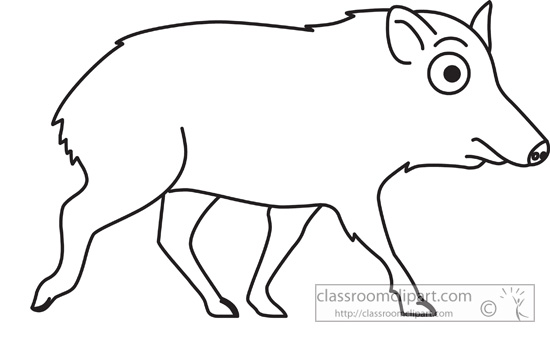 chacoan_peccary_outline_clipart.jpg