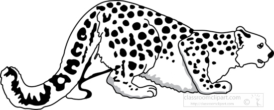 cheetah_327_1A_outline.jpg