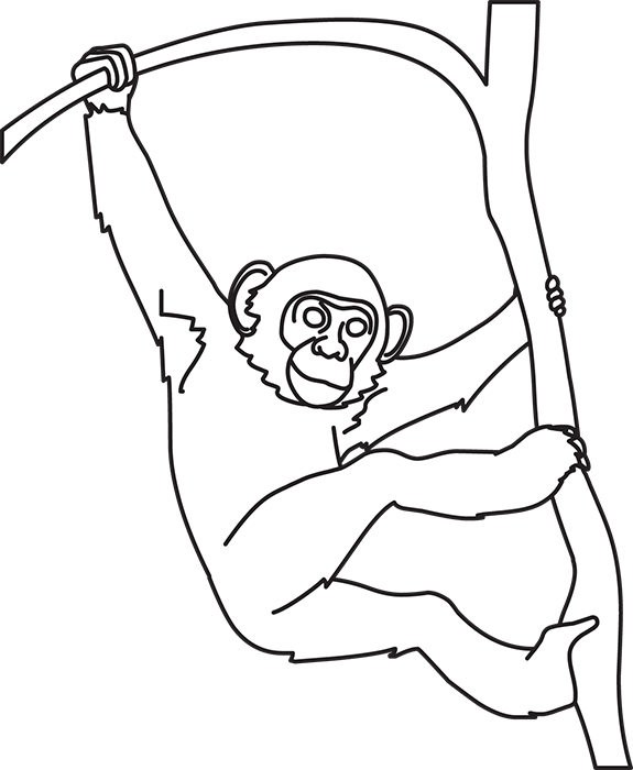 chimpanzee-playing-on-tree-branch-black-outline-clipart.jpg