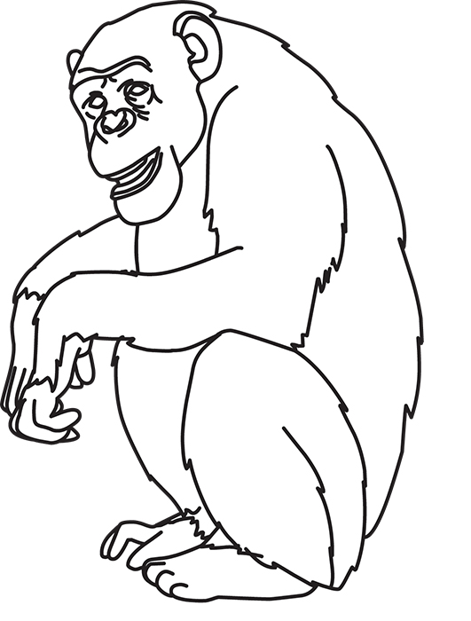 chimpanzee-sitting-04-outline-cliprt.jpg