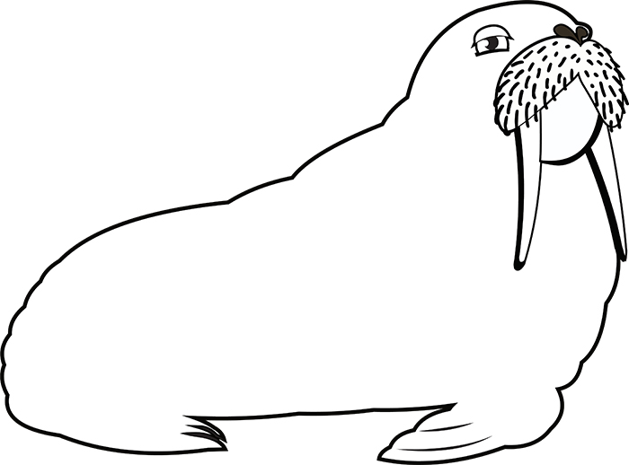 clipart-of-walrus-with-tusk-whiskers-black-white-outline-cliprt.jpg