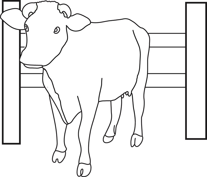 cow-near-fence-3612-outline.jpg