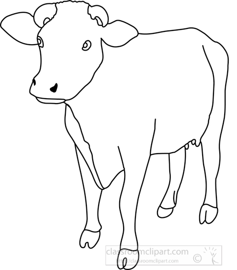 cow_front_view_4A_outline.jpg