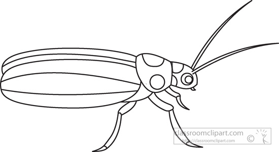 cucumber-beetle-insects-black-white-outline-clipart-939.jpg