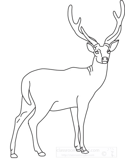 deer-05-outline-112.jpg