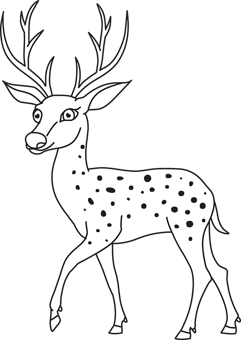 deer-black-white-outline-cliprt99.jpg