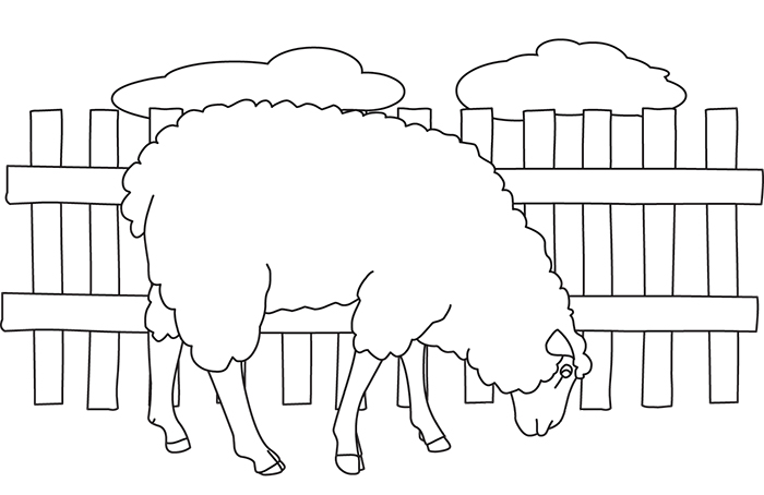 eating-sheep-outline-cliprt.jpg