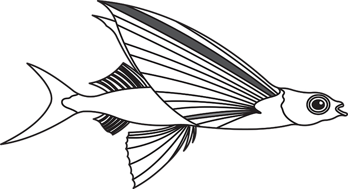 flying-fish-black-outline-clipart.jpg