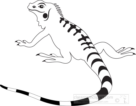 friendly-orange-iguana-lizard-reptile-educational-clip-art-graphic-black-white-outline.jpg