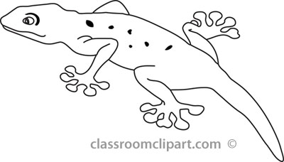 gecko-clipart-outline.jpg