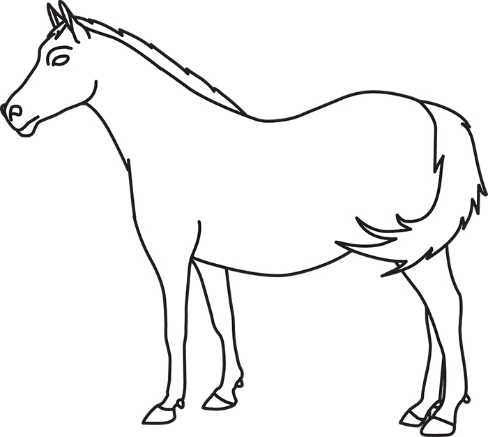 horse-with-tail-outline-cliprt.jpg