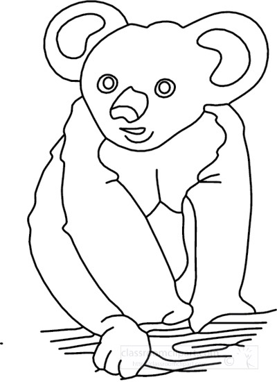 koala_bear_311_C.jpg
