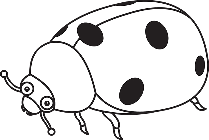 lady-bug-insect-outline-cliprt.jpg