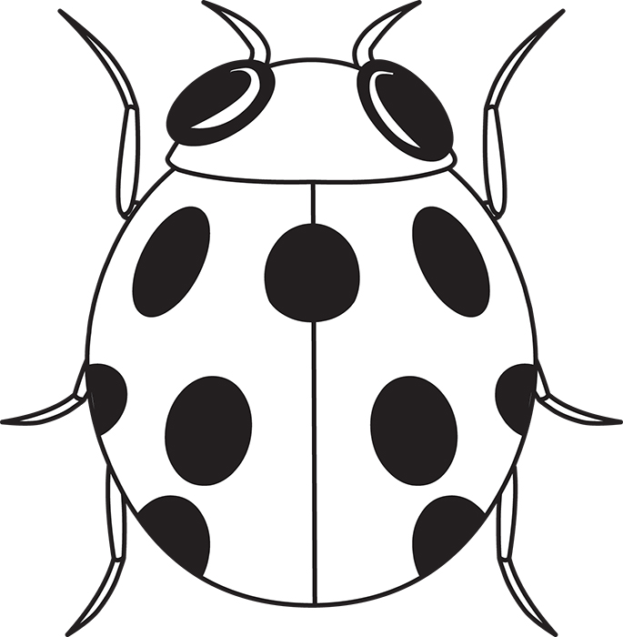 ladybug-insects-black-white-outline-983.jpg