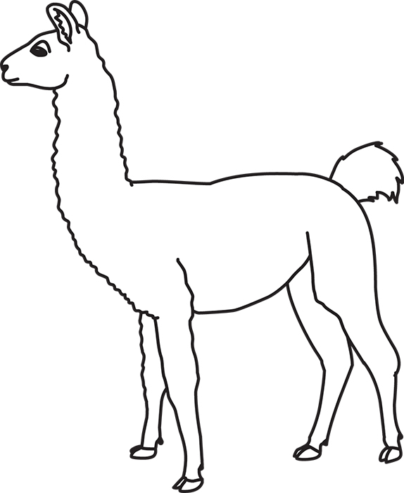 llama-animal-outline-cliprt.jpg