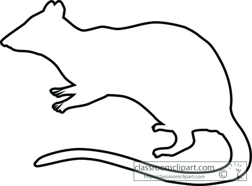 marsupial_spotted-tailed_native_cat_outline_clipart.jpg