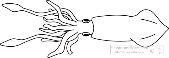mollusks-giant-squid -outline-clipart-clipart.jpg