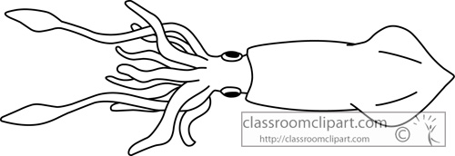 mollusks_giant_squid_outline_clipart.jpg