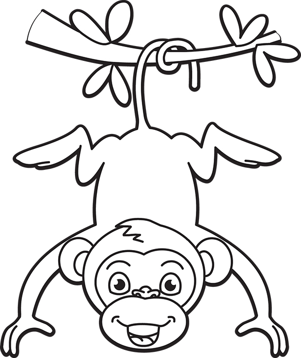monkey-hanging-from-tree-black-white-outline-cliprt.jpg