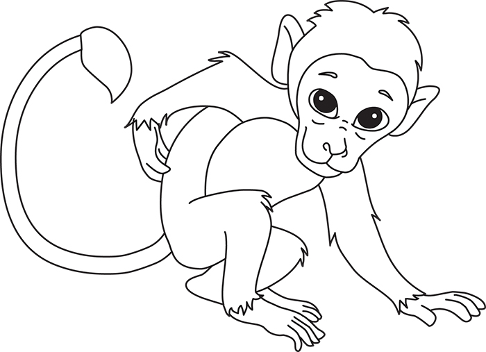 monkey-scratching-back-black-white-outline-clipart.jpg