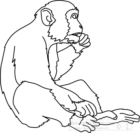 monkey_eating_02b_outline.jpg