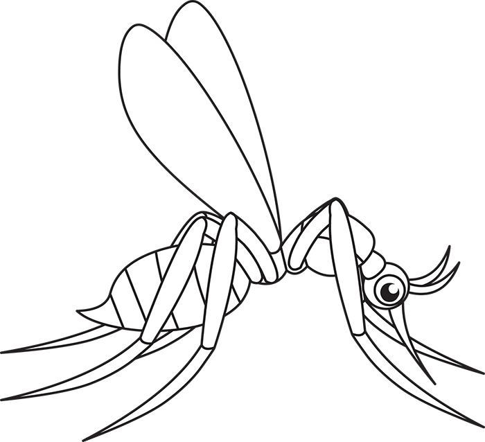 mosquito-insects-black-white-outline-cliprt.jpg