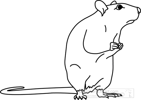 mouse_standing_01A_outline.jpg