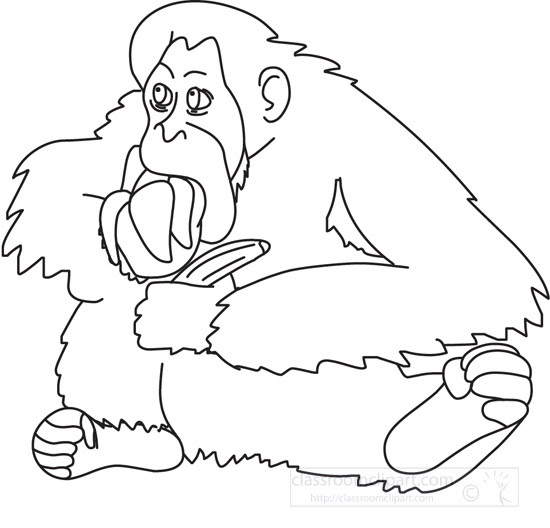 orangutan-02-outline.jpg