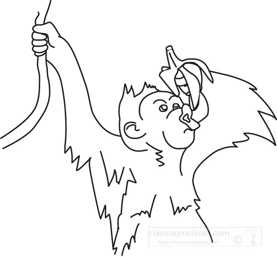 orangutan-04-outline.jpg