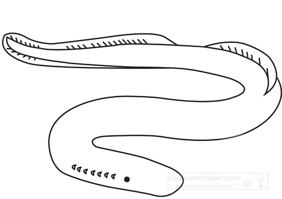 outline-lamprey2b.jpg