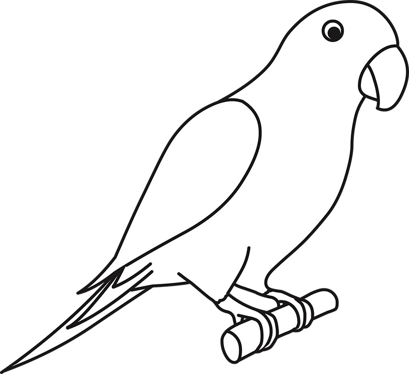 parrot-on-perch-black-outline.jpg
