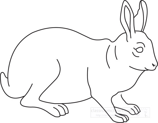 rabbit-outline-1111.jpg