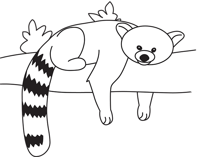 sleeping-red-panda-black-outline-clipart.jpg