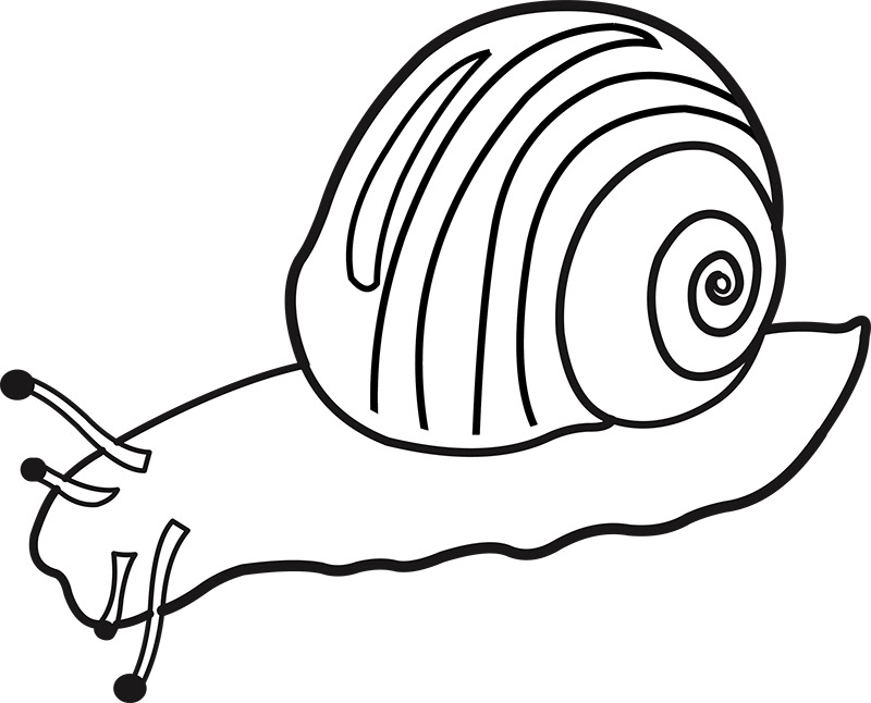 snail-black-outline-clipart.jpg