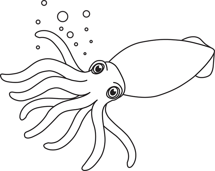 squid-marine-life-black-white-outline-clipart.jpg